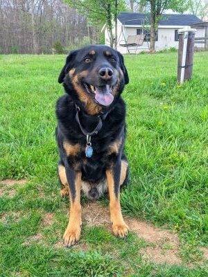 PXL_20220416_224546905.PORTRAIT